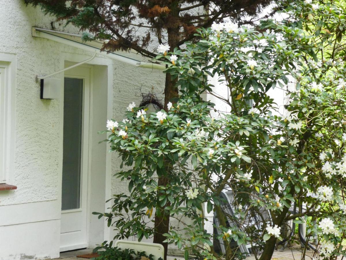 Ferienwohnung Niemann In Lutterloh Unterluss Extérieur photo